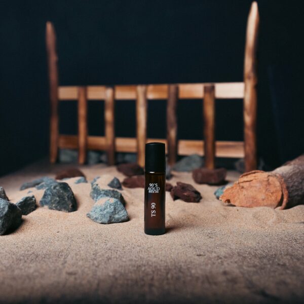 TS 90